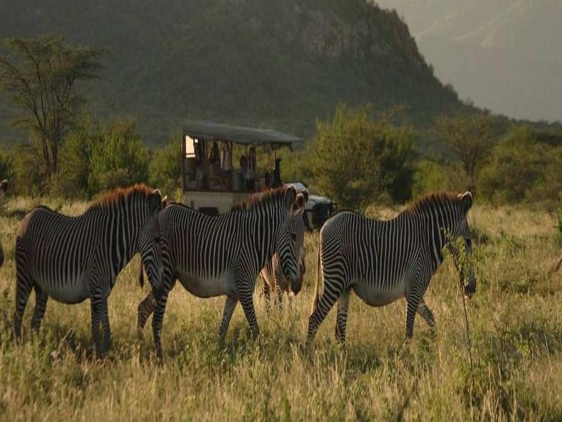 Saruni Samburu Villa Екстериор снимка